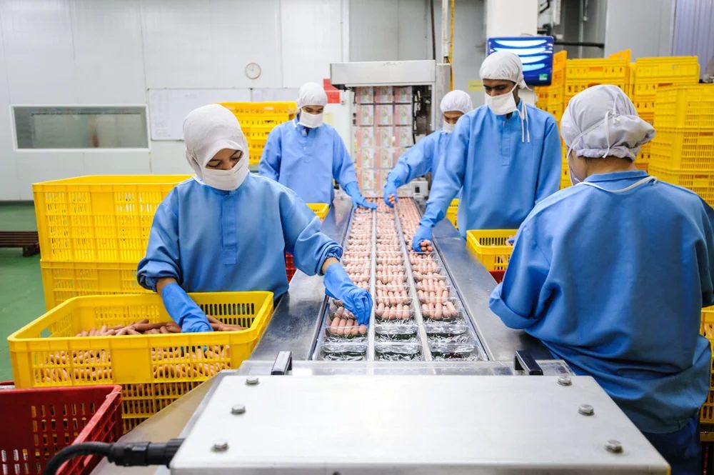 Food production crew packing meals on a line